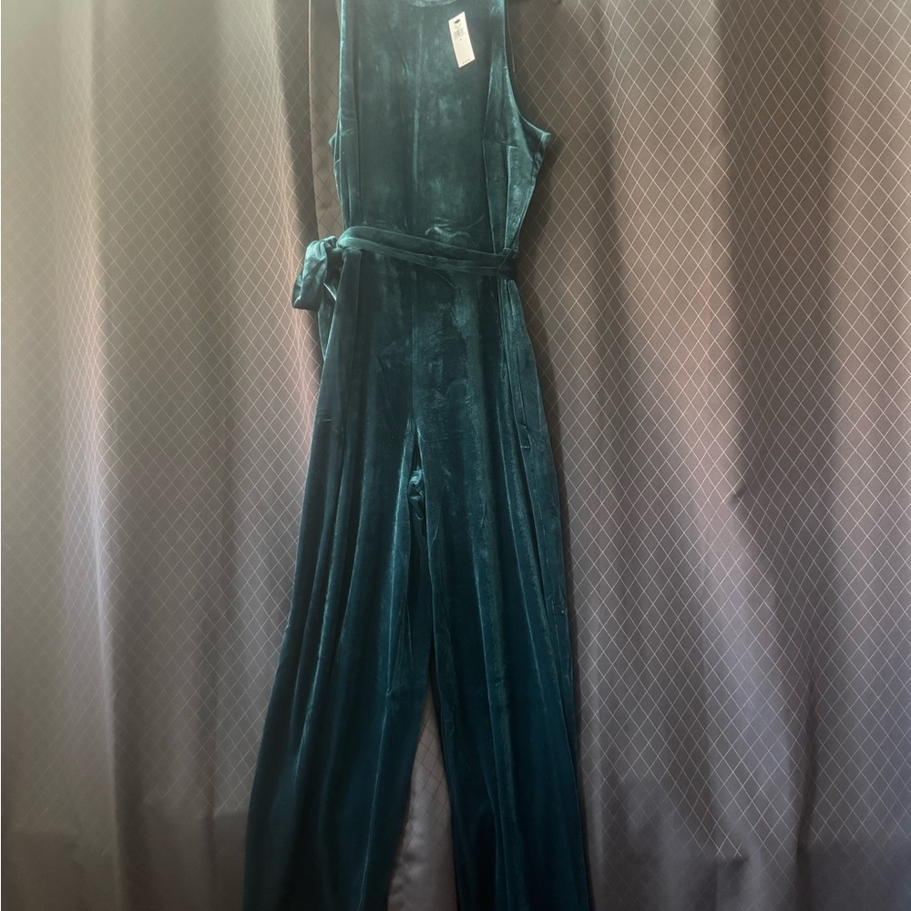 Elegant Teal Velvet Jumpsuit Banana Republic